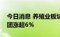 今日消息 养殖业板块午后持续拉升，神农集团涨超6%