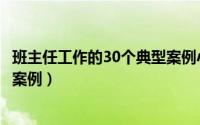 班主任工作的30个典型案例小学篇（班主任工作的30个典型案例）