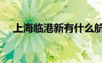 上海临港新有什么航运企业（航运企业）