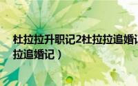 杜拉拉升职记2杜拉拉追婚记 电视剧（杜拉拉升职记2杜拉拉追婚记）