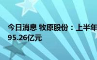 今日消息 牧原股份：上半年亏损66.84亿元，上年同期盈利95.26亿元