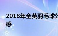 2018年全英羽毛球公开赛林丹vs李宗伟观后感