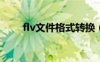 flv文件格式转换（FLV格式转换器）