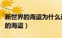 新世界的海盗为什么选不了其他国家（新世界的海盗）