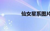 仙女星系图片（仙女星系）