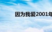 因为我爱2001年何群导演的电影