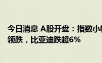 今日消息 A股开盘：指数小幅低开，油气开采及服务概念股领跌，比亚迪跌超6%