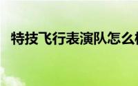 特技飞行表演队怎么样（特技飞行表演队）