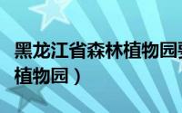 黑龙江省森林植物园要门票吗（黑龙江省森林植物园）