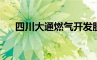 四川大通燃气开发股份有限公司怎么样