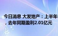 今日消息 大发地产：上半年母公司拥有人应占亏损12.6亿元，去年同期盈利2.01亿元