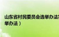 山东省村民委员会选举办法实施细则（山东省村民委员会选举办法）