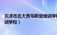 天津市北大青鸟职业培训学校专业（天津市北大青鸟职业培训学校）