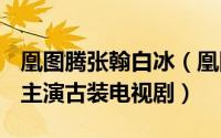 凰图腾张翰白冰（凰图腾 2011年白冰、张默主演古装电视剧）