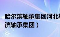 哈尔滨轴承集团河北轴承锻造有限公司（哈尔滨轴承集团）