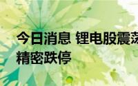 今日消息 锂电股震荡走低，圣阳股份、凯中精密跌停