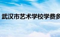 武汉市艺术学校学费多少（武汉市艺术学校）