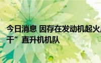 今日消息 因存在发动机起火风险，美国陆军停飞整个“支奴干”直升机机队