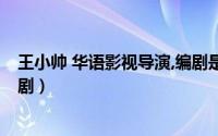 王小帅 华语影视导演,编剧是谁（王小帅 华语影视导演、编剧）