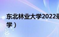 东北林业大学2022录取分数线（东北林业大学）