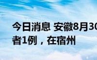 今日消息 安徽8月30日新增本土无症状感染者1例，在宿州