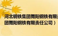 河北钢铁集团舞阳钢铁有限责任公司经营现状（河北钢铁集团舞阳钢铁有限责任公司）