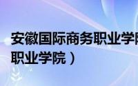 安徽国际商务职业学院是几本（安徽国际商务职业学院）