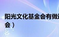 阳光文化基金会有做过工艺吗（阳光文化基金会）