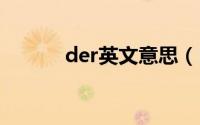 der英文意思（DER 英文缩写）