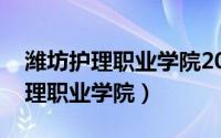 潍坊护理职业学院2022录取分数线（潍坊护理职业学院）