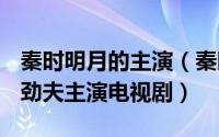 秦时明月的主演（秦时明月 2015年陆毅、蒋劲夫主演电视剧）