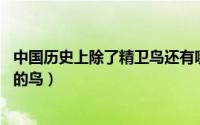 中国历史上除了精卫鸟还有哪些神鸟（精卫 中国古代神话中的鸟）