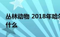 丛林动物 2018年哈尔滨出版社出版的图书叫什么