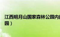 江西明月山国家森林公园内的酒店（江西明月山国家森林公园）