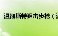 温彻斯特狙击步枪（温切斯特97型霰弹枪）