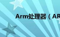 Arm处理器（ARM ARM处理器）