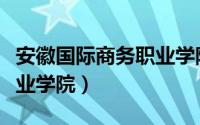 安徽国际商务职业学院地址（安徽国际商务职业学院）