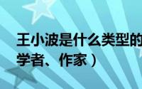 王小波是什么类型的作家（王小波 中国当代学者、作家）