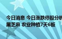 今日消息 今日涨跌停股分析：46只涨停股，19只跌停股，黑芝麻 农业种植7天6板