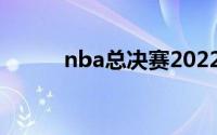 nba总决赛2022（NBA总决赛）