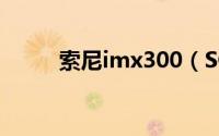 索尼imx300（SONY EX300SL）