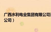 广西水利电业集团有限公司董事长（广西水利电业集团有限公司）