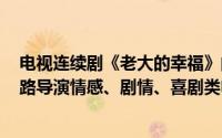 电视连续剧《老大的幸福》的主演（老大的幸福 2010年李路导演情感、剧情、喜剧类电视剧）