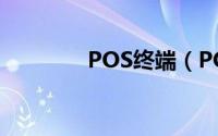 POS终端（POS 销售终端）