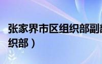 张家界市区组织部副部长（中共张家界市委组织部）