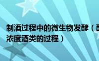 制酒过程中的微生物发酵（酿酒 利用微生物发酵生产含一定浓度酒类的过程）