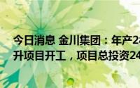 今日消息 金川集团：年产28万吨动力电池用硫酸镍产品提升项目开工，项目总投资24亿元