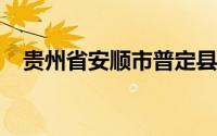 贵州省安顺市普定县第一中学录取分数线