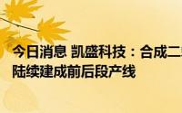 今日消息 凯盛科技：合成二氧化硅项目预计明年下半年后会陆续建成前后段产线