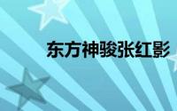 东方神骏张红影（东方神骏 电影）